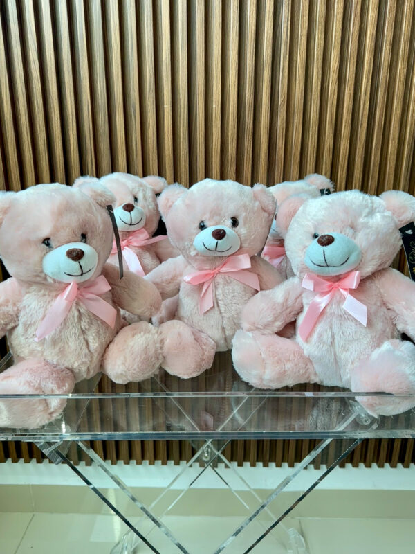 Oso de peluche