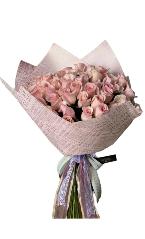 24 Rosas rosas